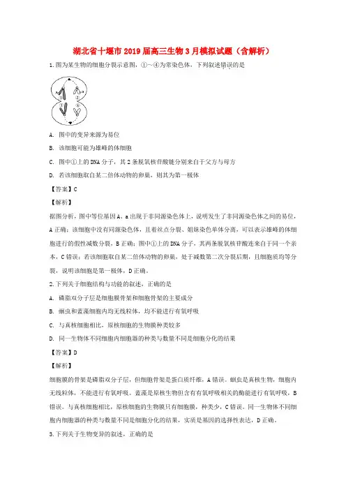湖北省十堰市2019届高三生物3月模拟试题(含解析)