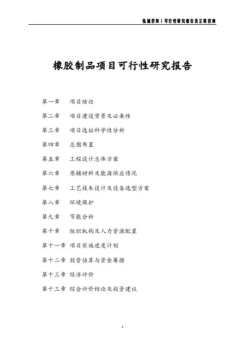 橡胶制品项目可行性研究报告