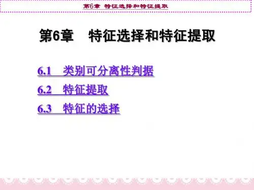 第6章 特征的选择与提取
