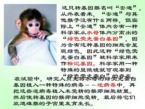DNA重组技术的基本工具课件