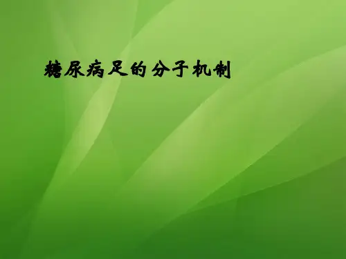 糖尿病足的分子机制