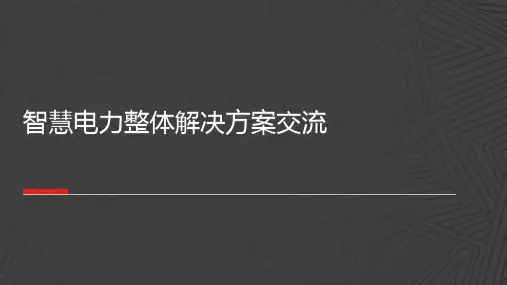 智慧电力整体解决方案交流