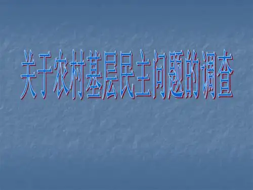 农村基层民主