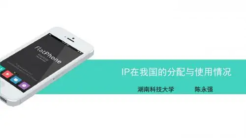 陈永强 1304040206 (IP在我国的分配与使用情况)