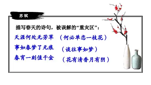 一蓑烟雨任平生——苏轼的旷达人生