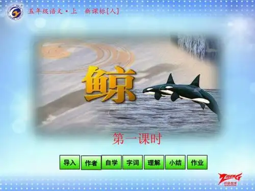 第9课《鲸》第一课时
