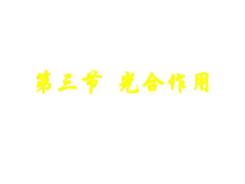 第三节 光合作用