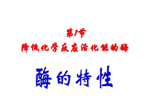 酶的特性