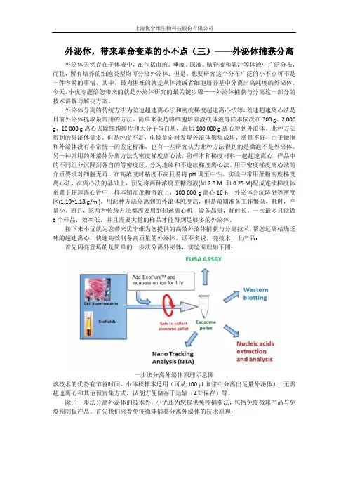 外泌体捕获分离