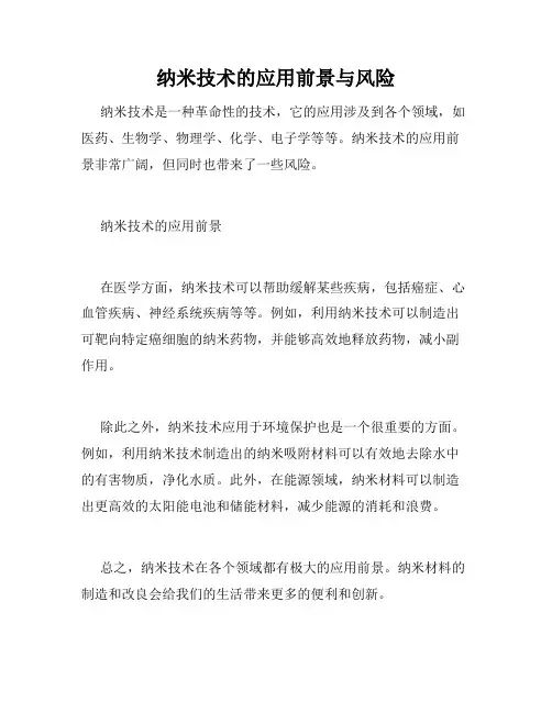纳米技术的应用前景与风险
