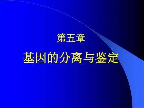 基因的分离与鉴定