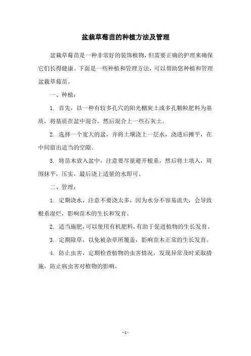 盆栽草莓苗的种植方法及管理