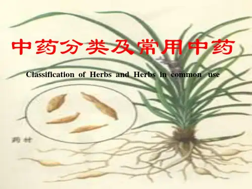 中医学12中药分类及常用中药