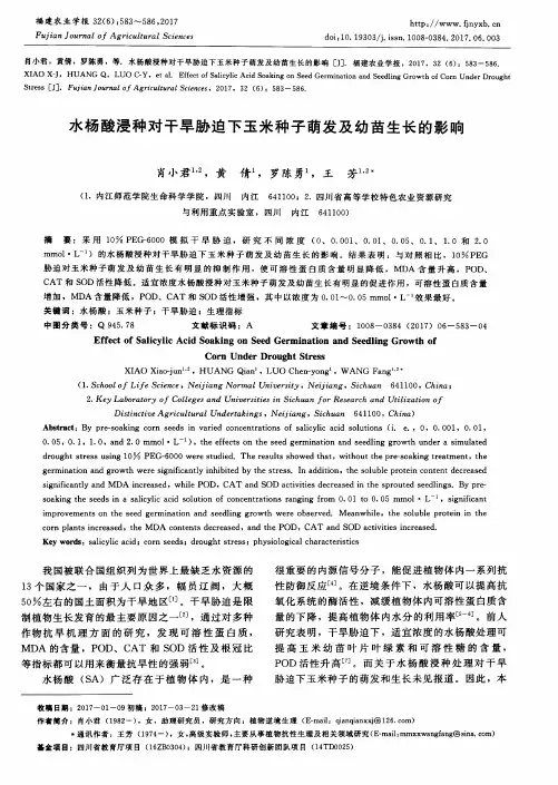 水杨酸浸种对干旱胁迫下玉米种子萌发及幼苗生长的影响