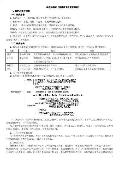 植物的器官