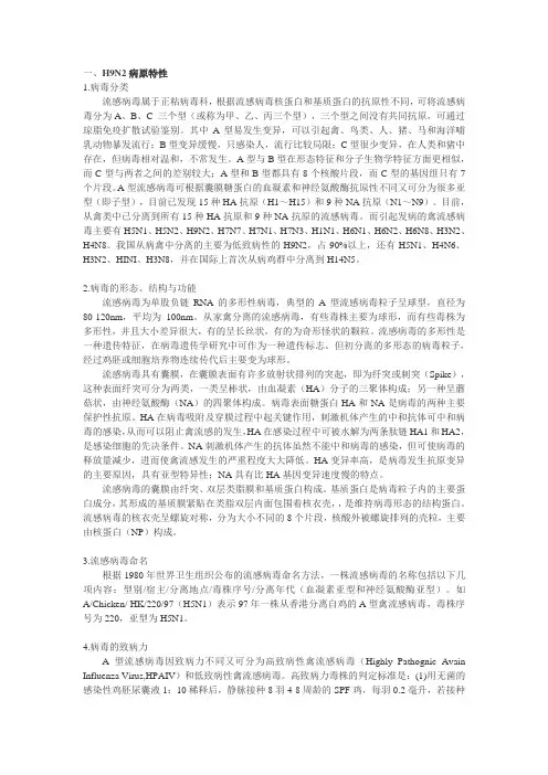 H9N2---背景资料
