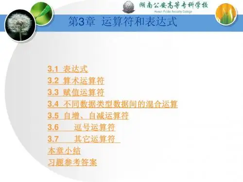 第3章  运算符和表达式