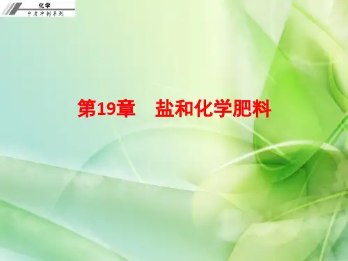 2017届中考化学复习:第十九章 盐和化学肥料(2)(优秀版)