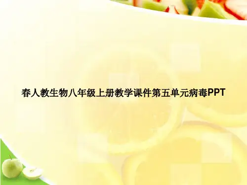 春人教生物八年级上册教学课件第五单元病毒PPTppt文档