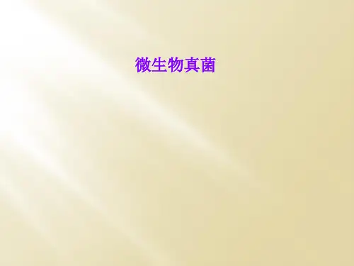 微生物真菌