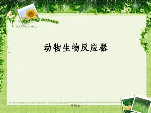 《动物生物反应器》PPT课件