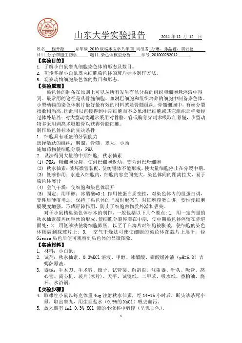 染色体核型分析