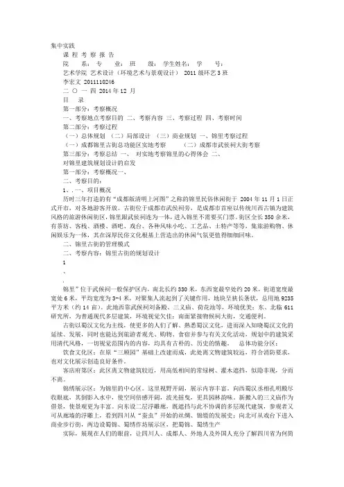 成都锦里考察报告