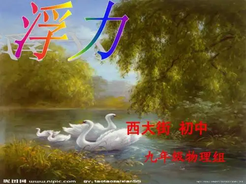 一轮复习浮力