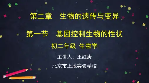 第二章生物的遗传和变异 第一节基因控制生物的性状-2PPT课件