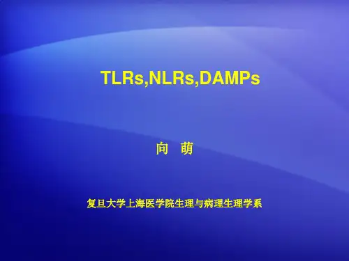 模式识别受体