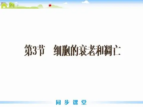 第3节 细胞的衰老和凋亡