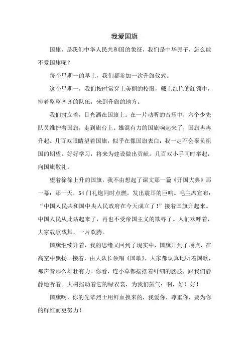 我爱国旗(二年级优秀作文)