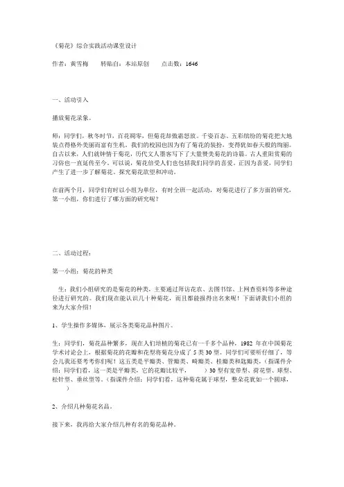 菊花综合实践