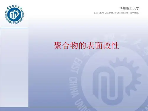 聚合物的表面改性.ppt