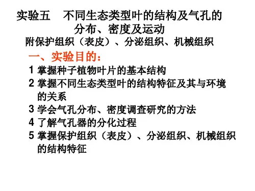 实验五不同生态类型叶的结构