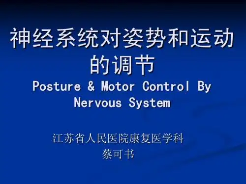 神经系统对姿势和运动的调节1