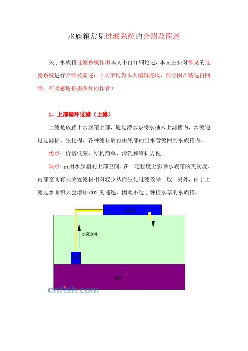 水族箱常见过滤系统的介绍及简述范文