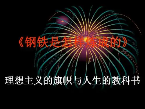 钢铁是怎样炼成 阅读指导  (共25张PPT) (1)