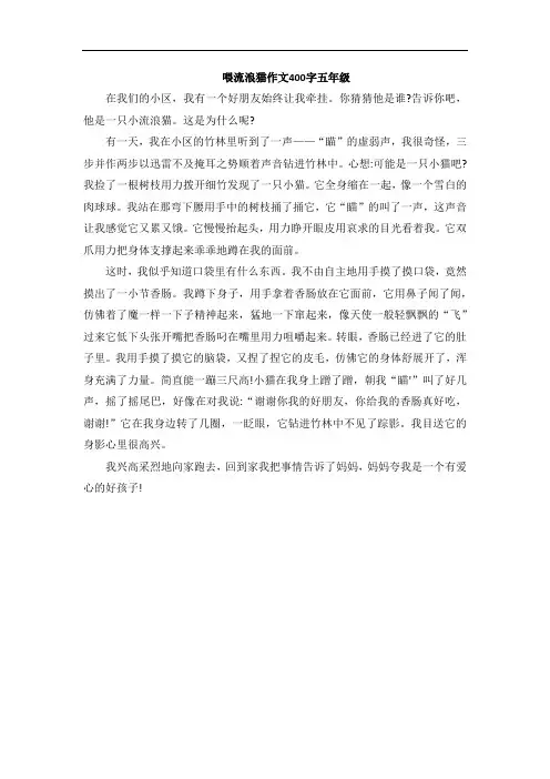 喂流浪猫作文400字五年级