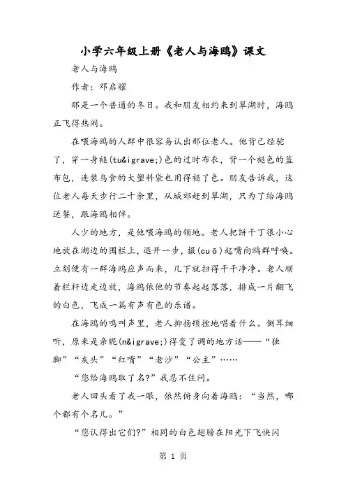 小学六年级上册《老人与海鸥》课文