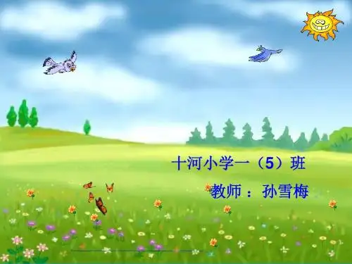 两只鸟蛋公开课课件