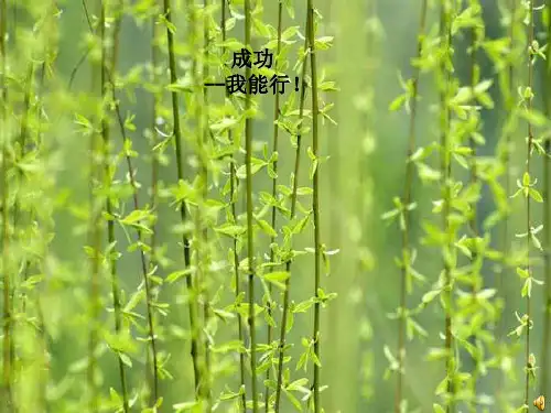 中考百日冲刺班会(课堂PPT)