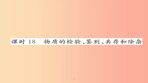 河北专版2019届中考化学复习第一编教材知识梳理篇模块五科学探究课时18物质的检测鉴别共存和除杂课件