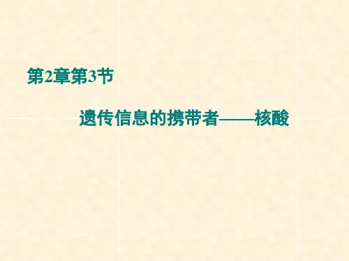 高一生物核酸课件3