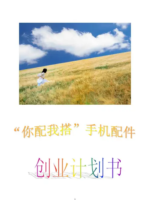 创业计划书范文下载