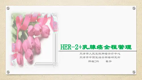 HER-2阳性乳腺癌全程管理