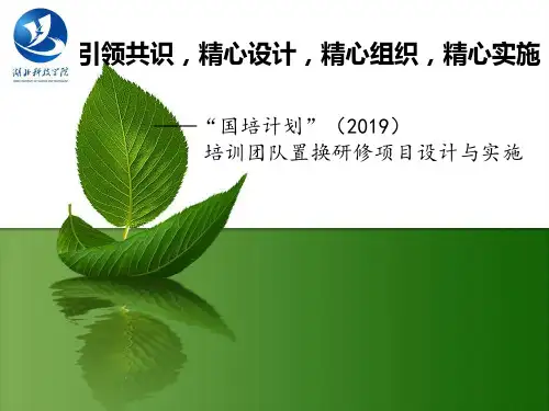 2019年国培计划实施方案-PPT课件