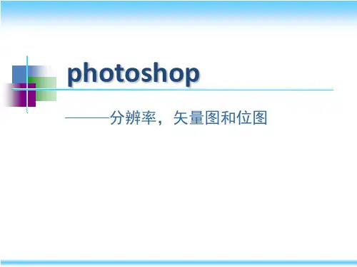 矢量图与位图汇总