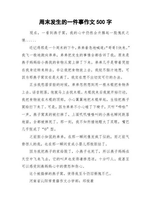 周末发生的一件事作文500字_作文