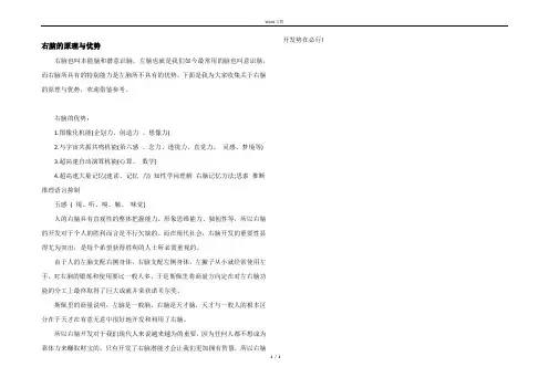 右脑的原理与优势